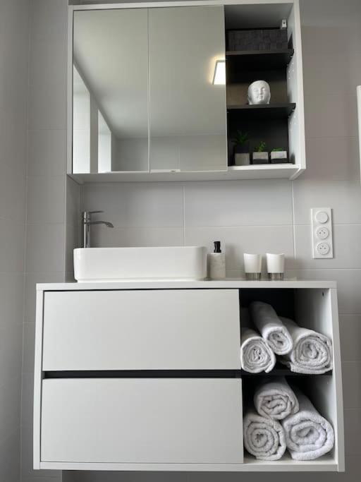 Appartement T3 En Centre-Ville De Thonon-Les-Bains Extérieur photo