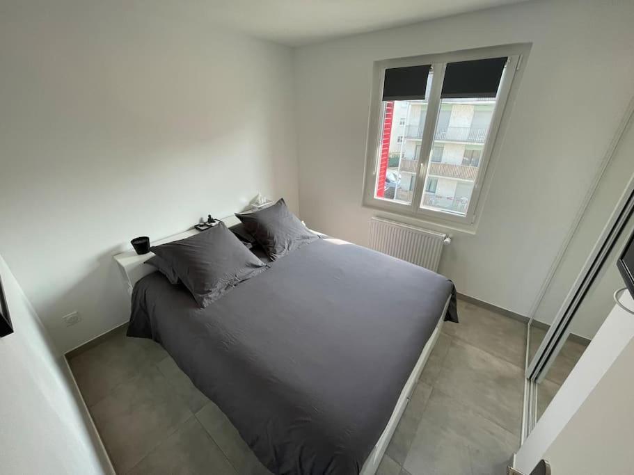 Appartement T3 En Centre-Ville De Thonon-Les-Bains Extérieur photo